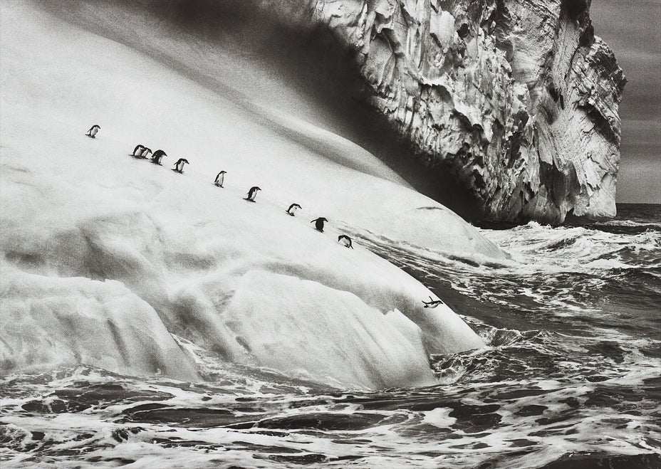 Brought to you by Phillips