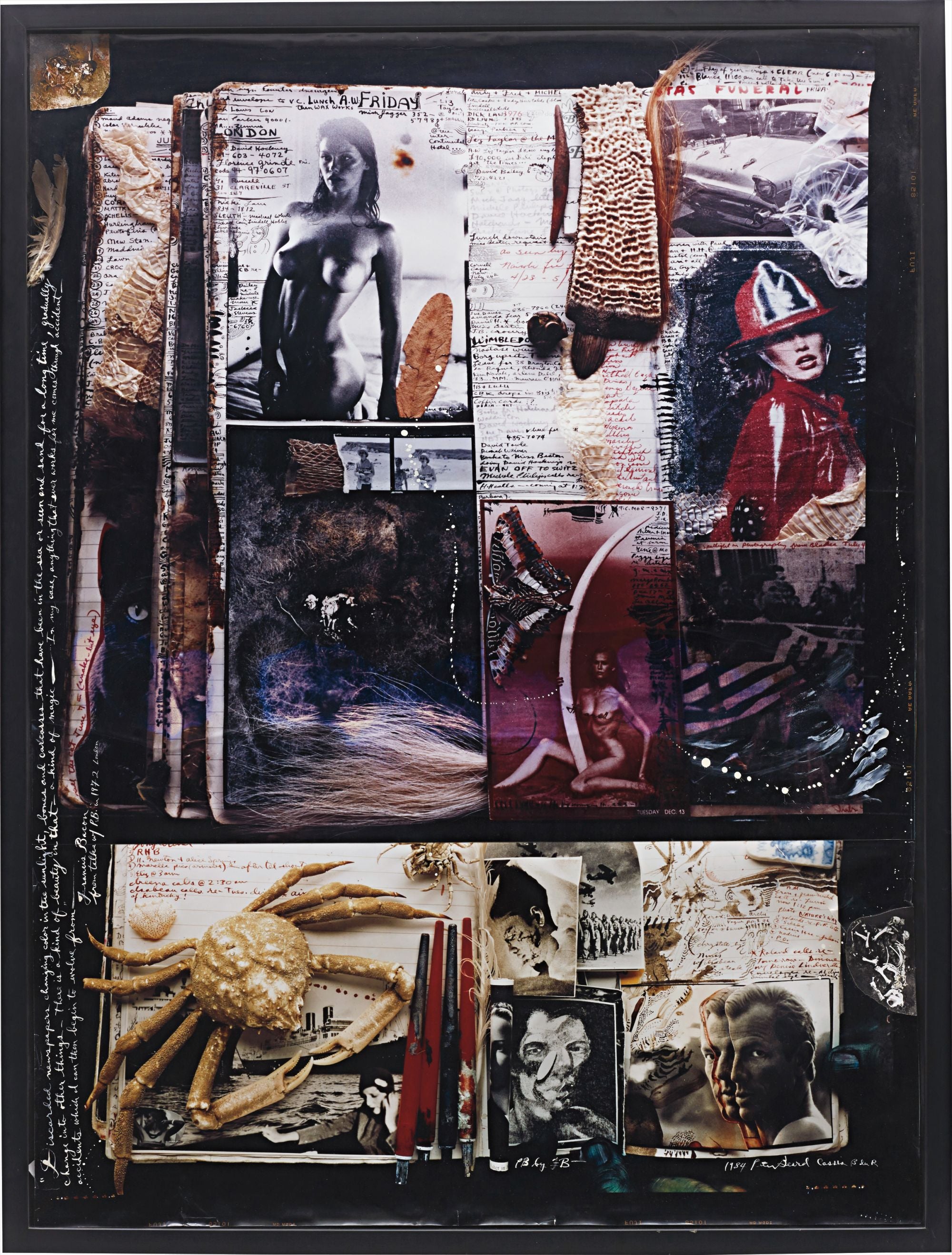 Diary : Peter Beard