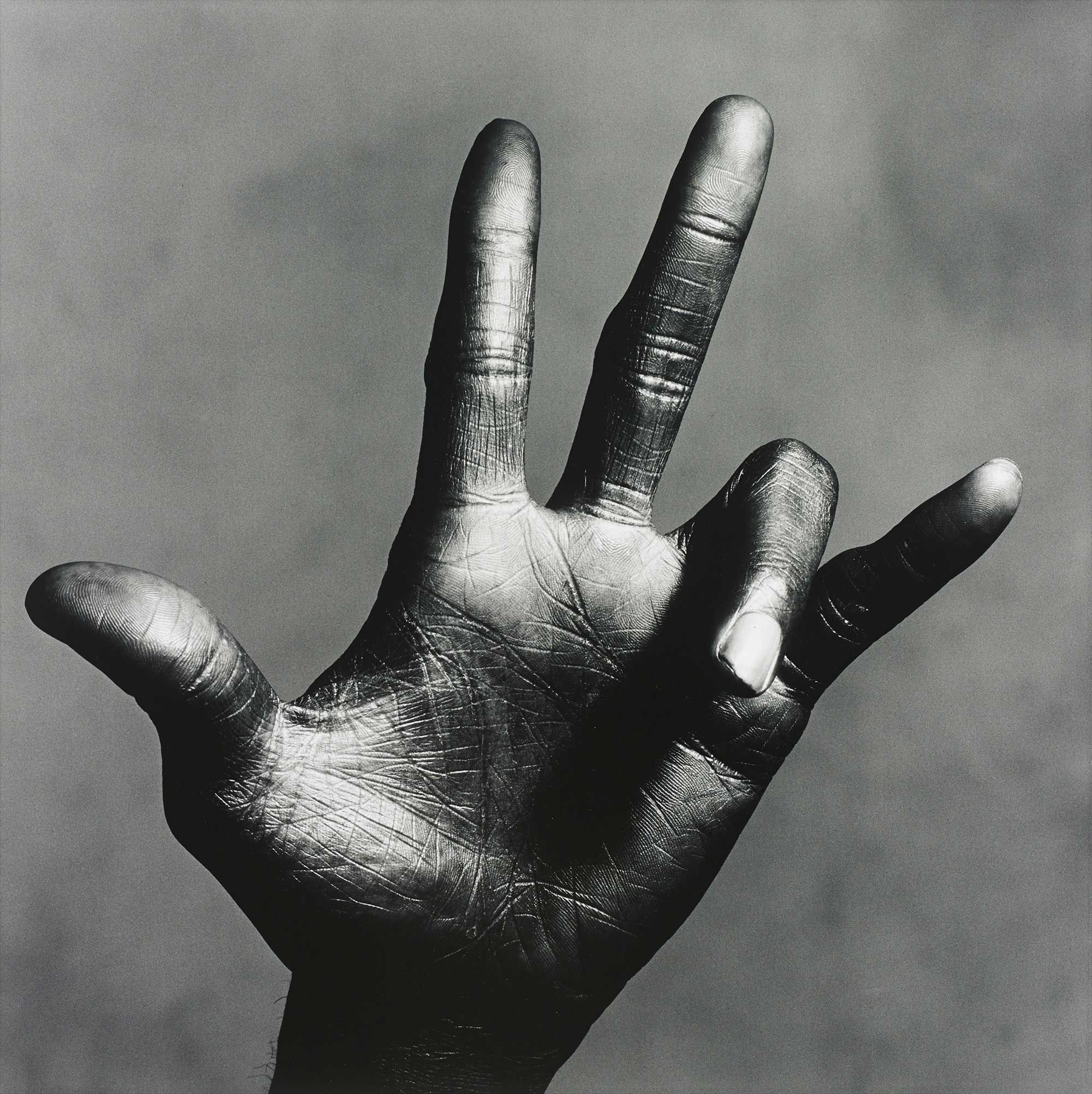 Irving Penn Photographs