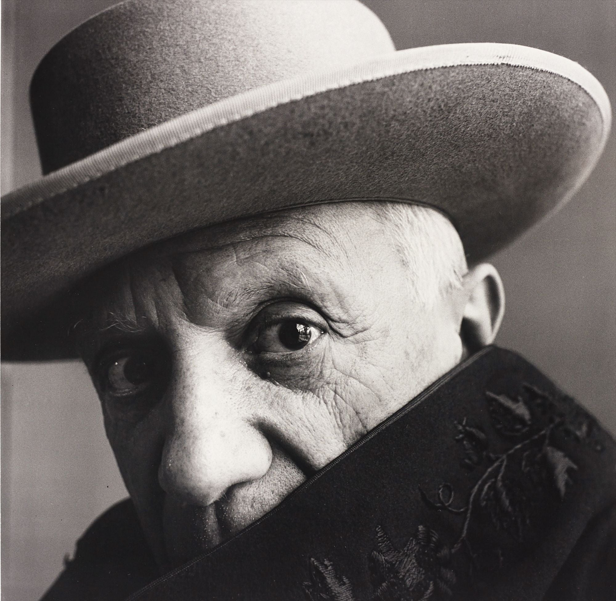 Irving Penn Photographs