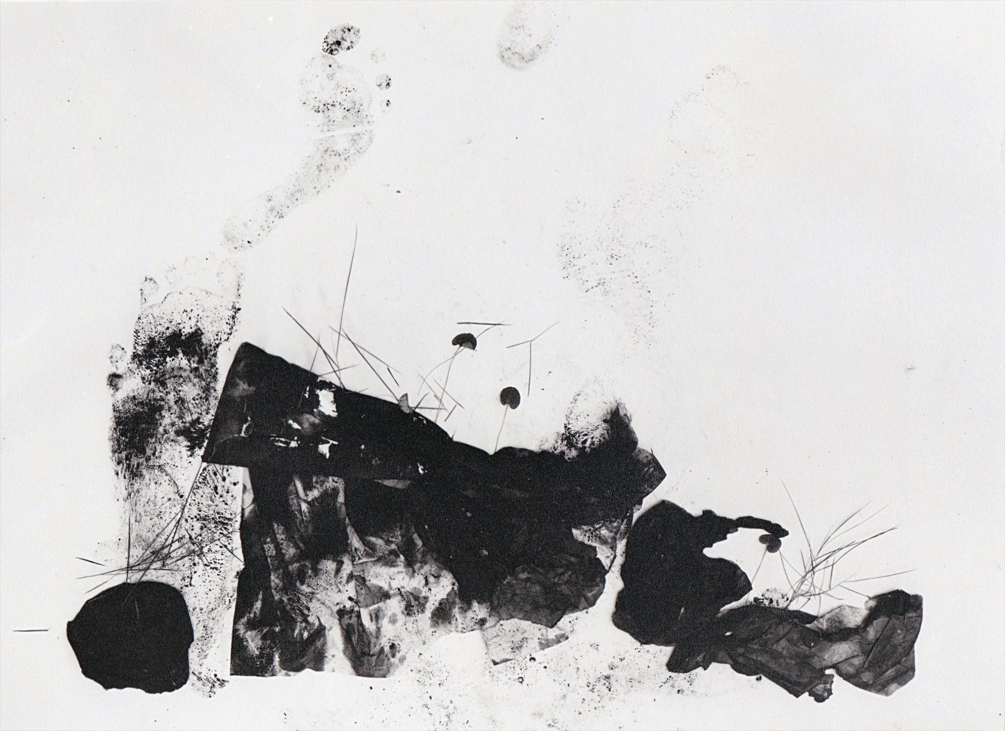 John Swannell Photographs
