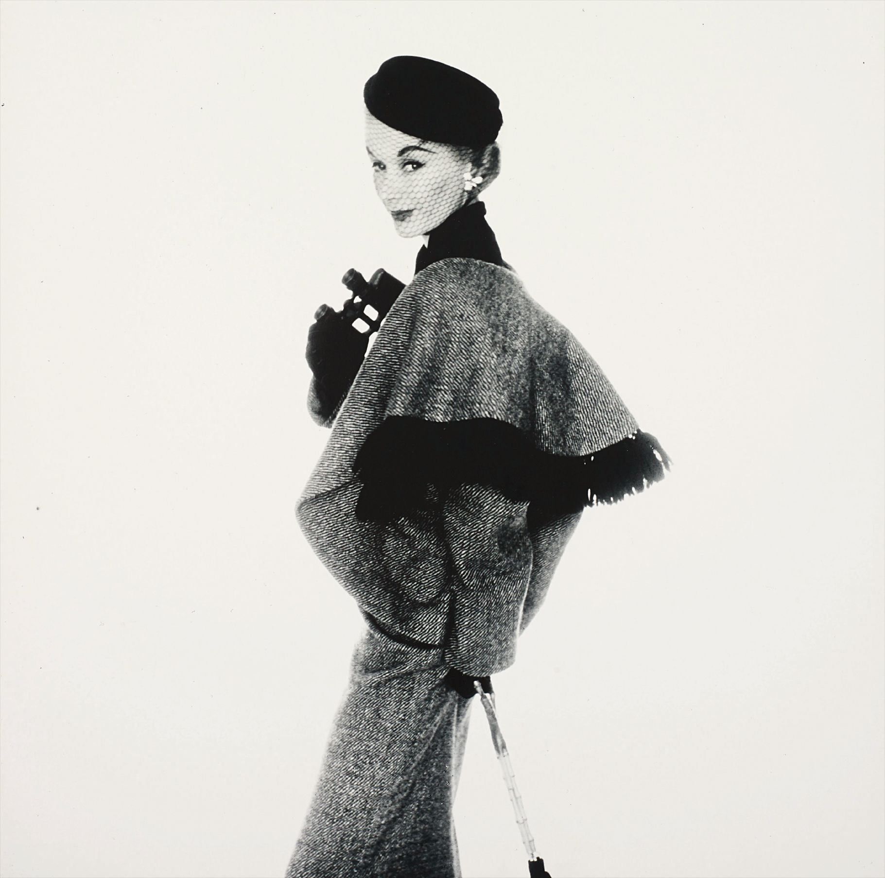Irving Penn Photographs