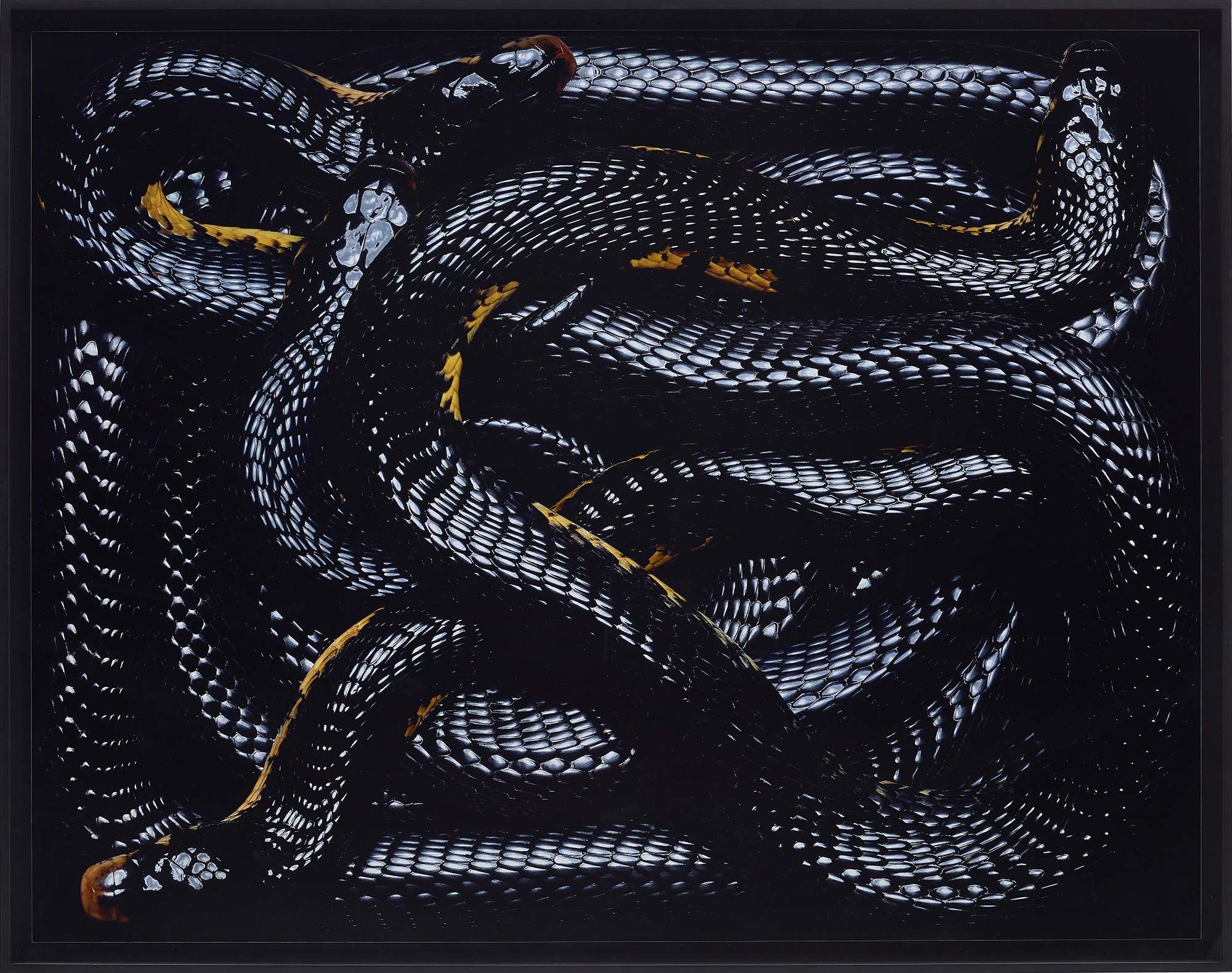 Guido Mocafico - Meet the Master Photographer - MILK Books Guido 