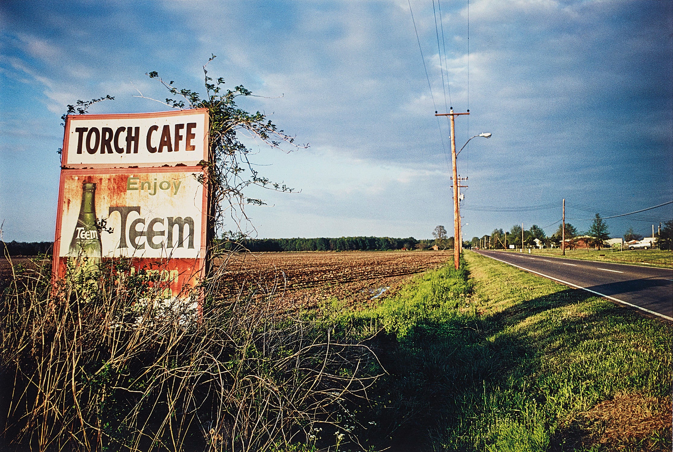 William Eggleston Photographs