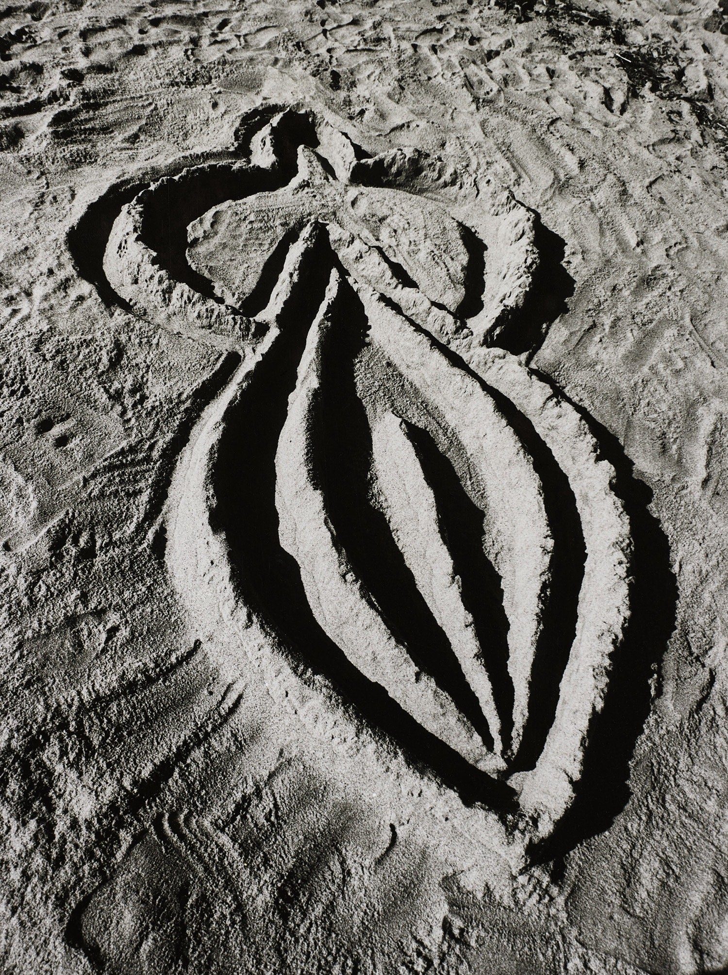 Ana Mendieta Photographs