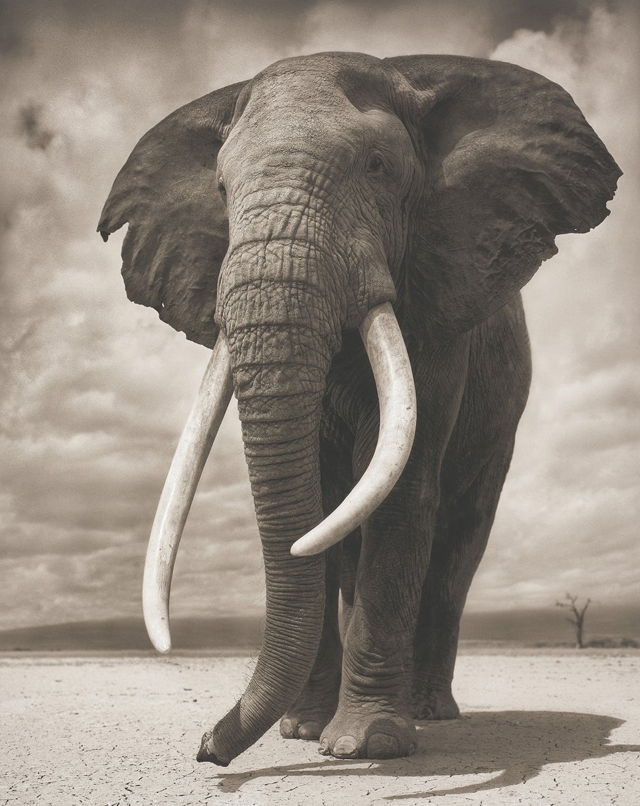 Brought to you by Phillips