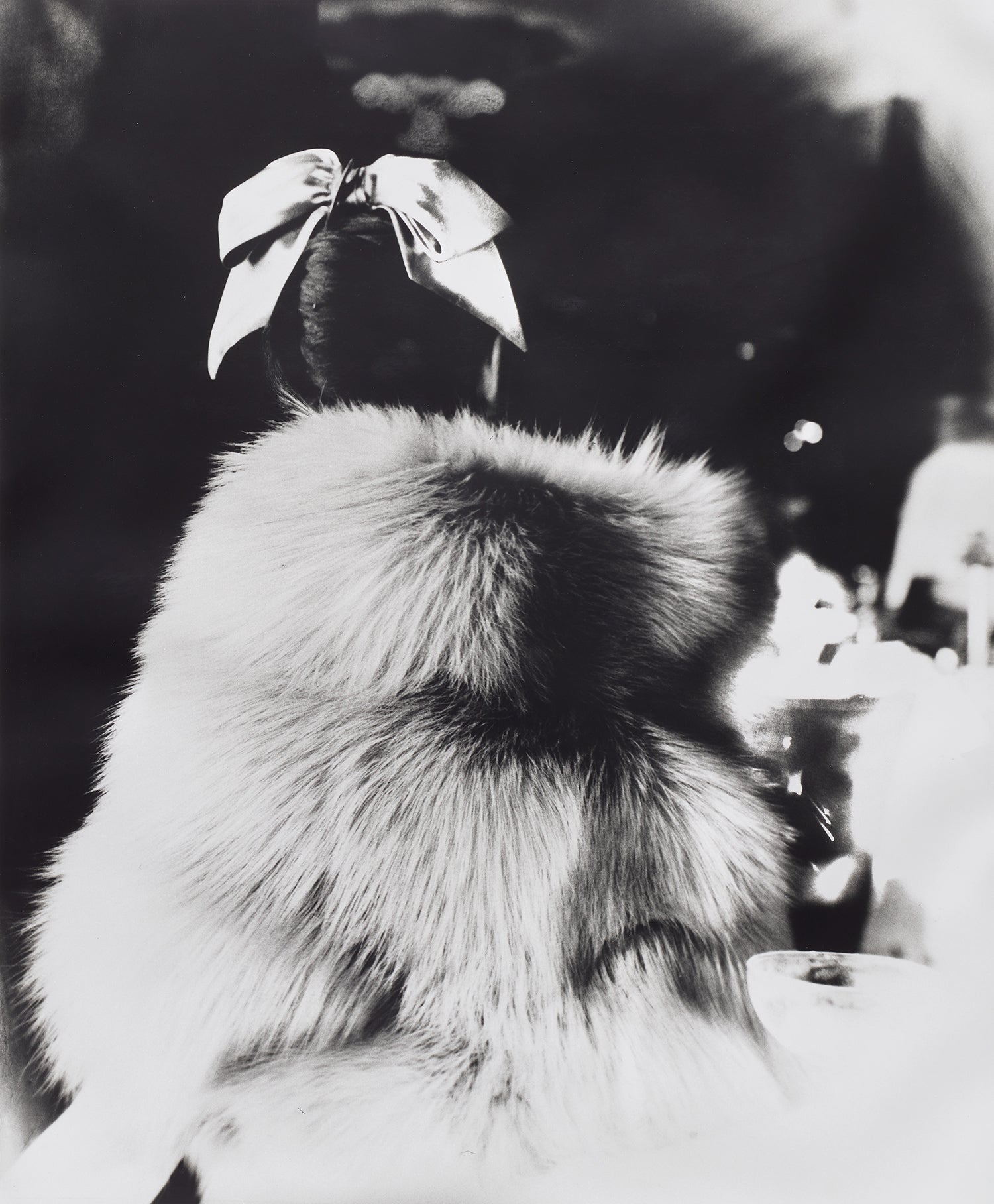 Lillian Bassman Photographs