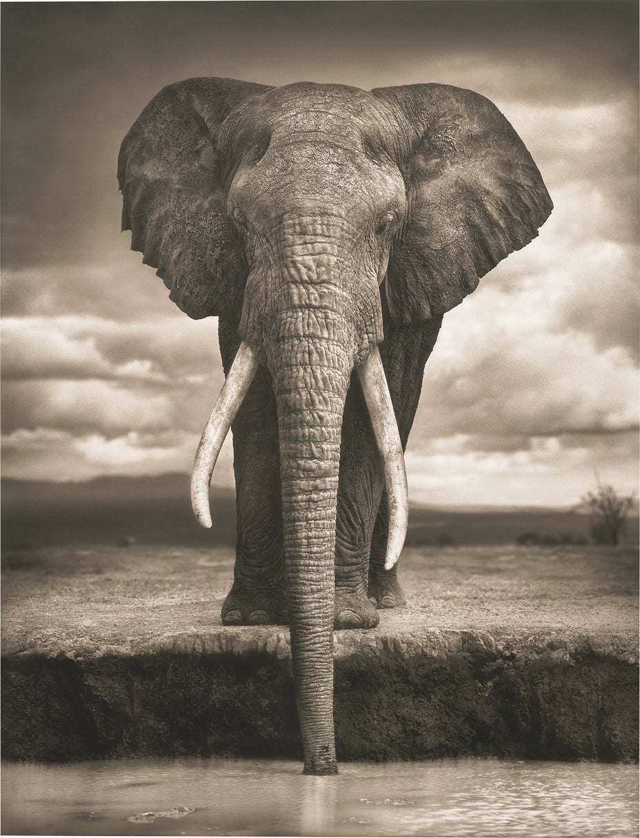 Brought to you by Phillips