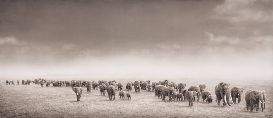 Brought to you by Phillips