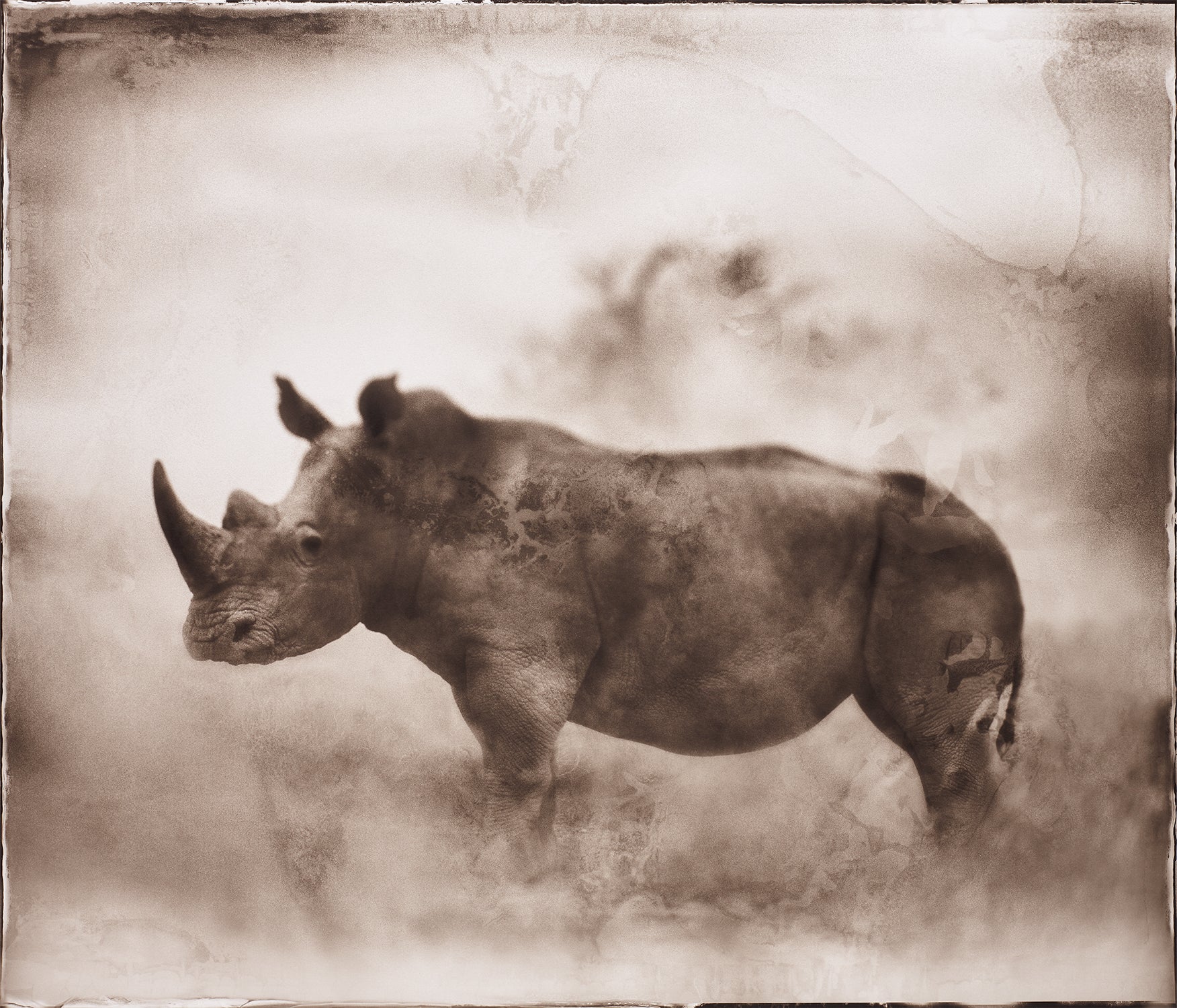 Peter Beard Photographs