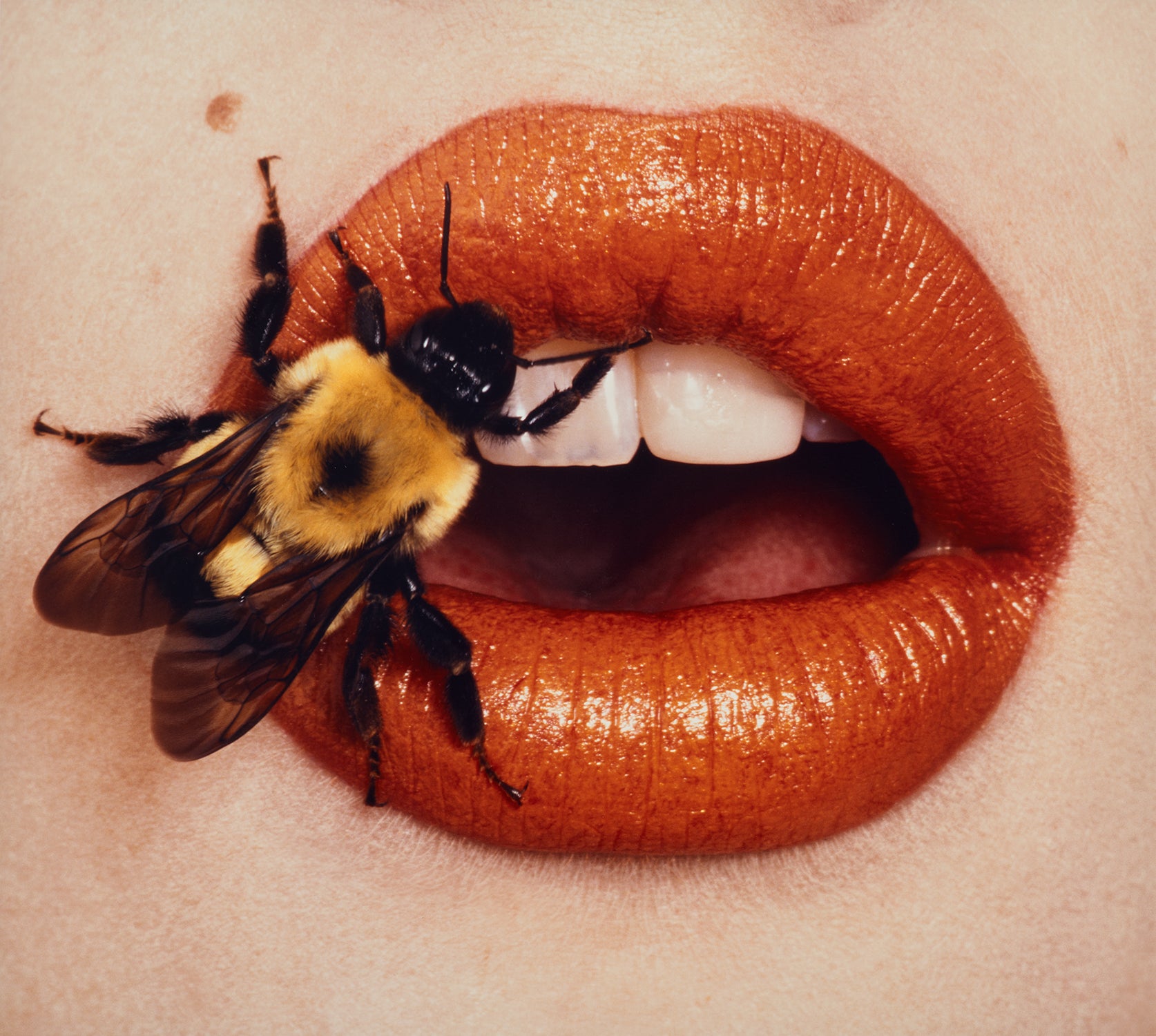 Irving Penn Photographs