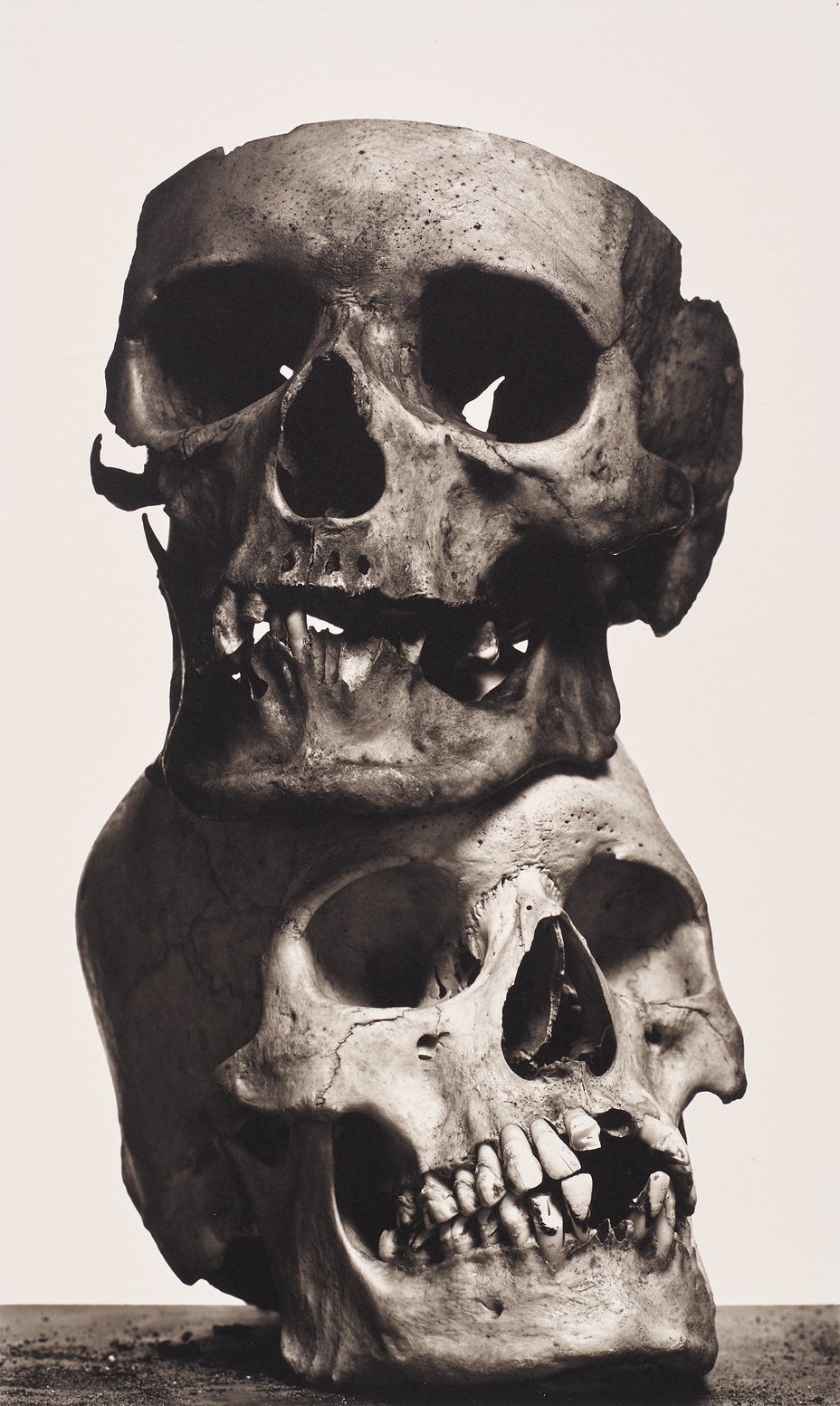 Brought to you by Phillips