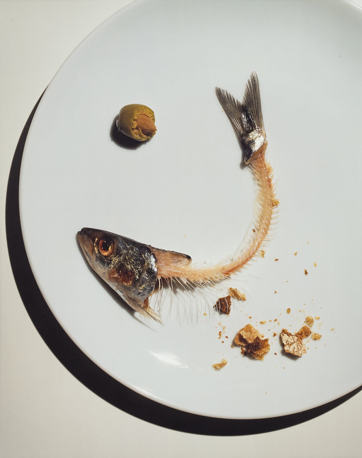 Irving Penn Photographs