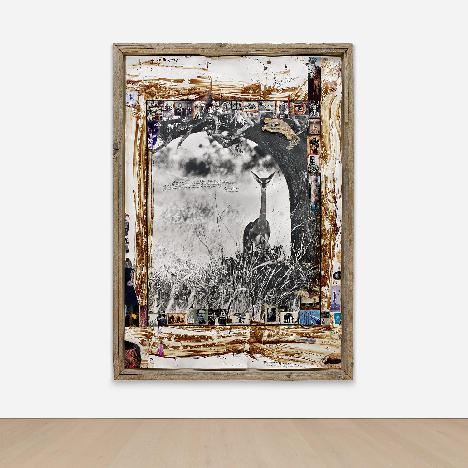Peter Beard Photographs