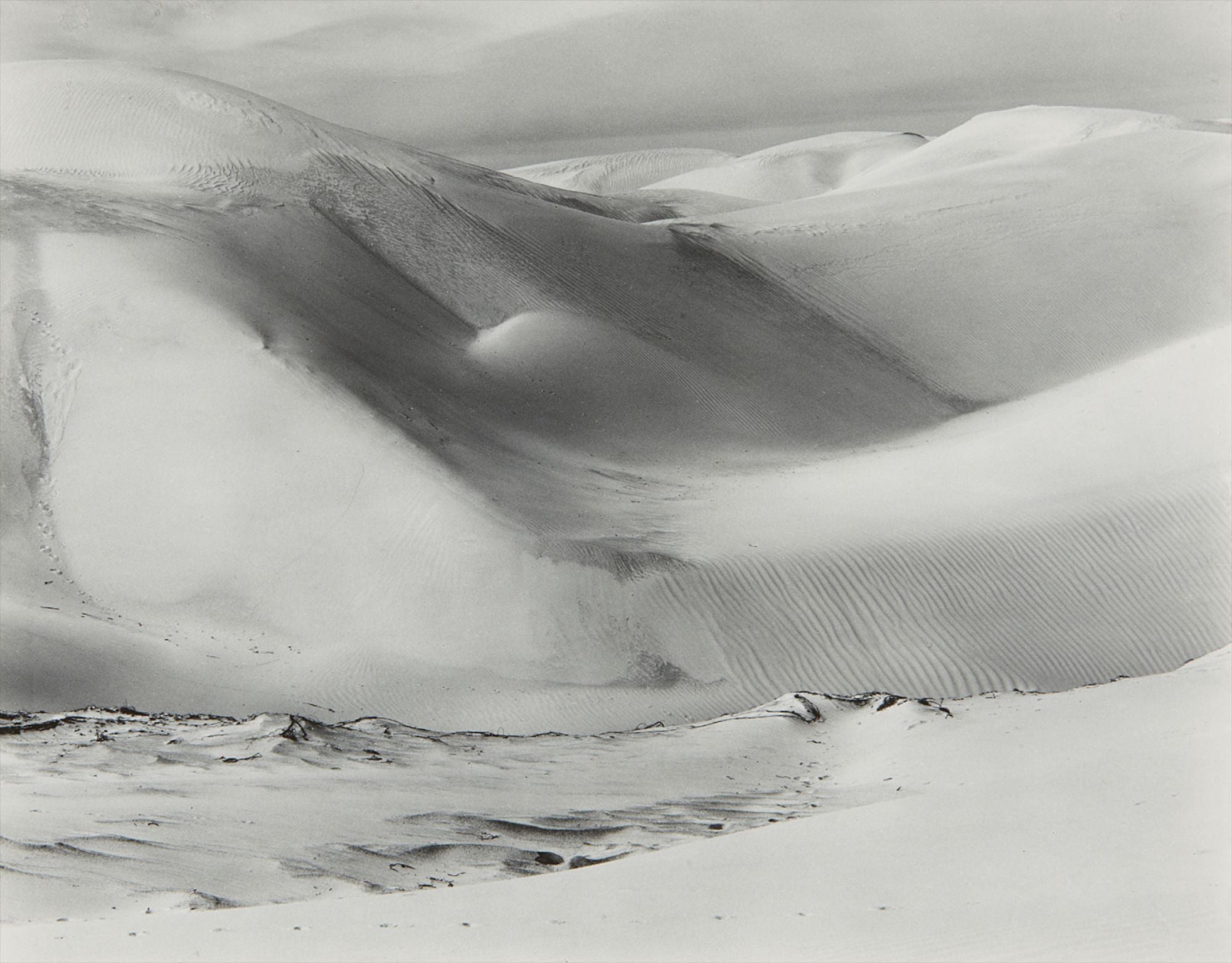 Edward Weston Photographs from the Collection of the Art Institute