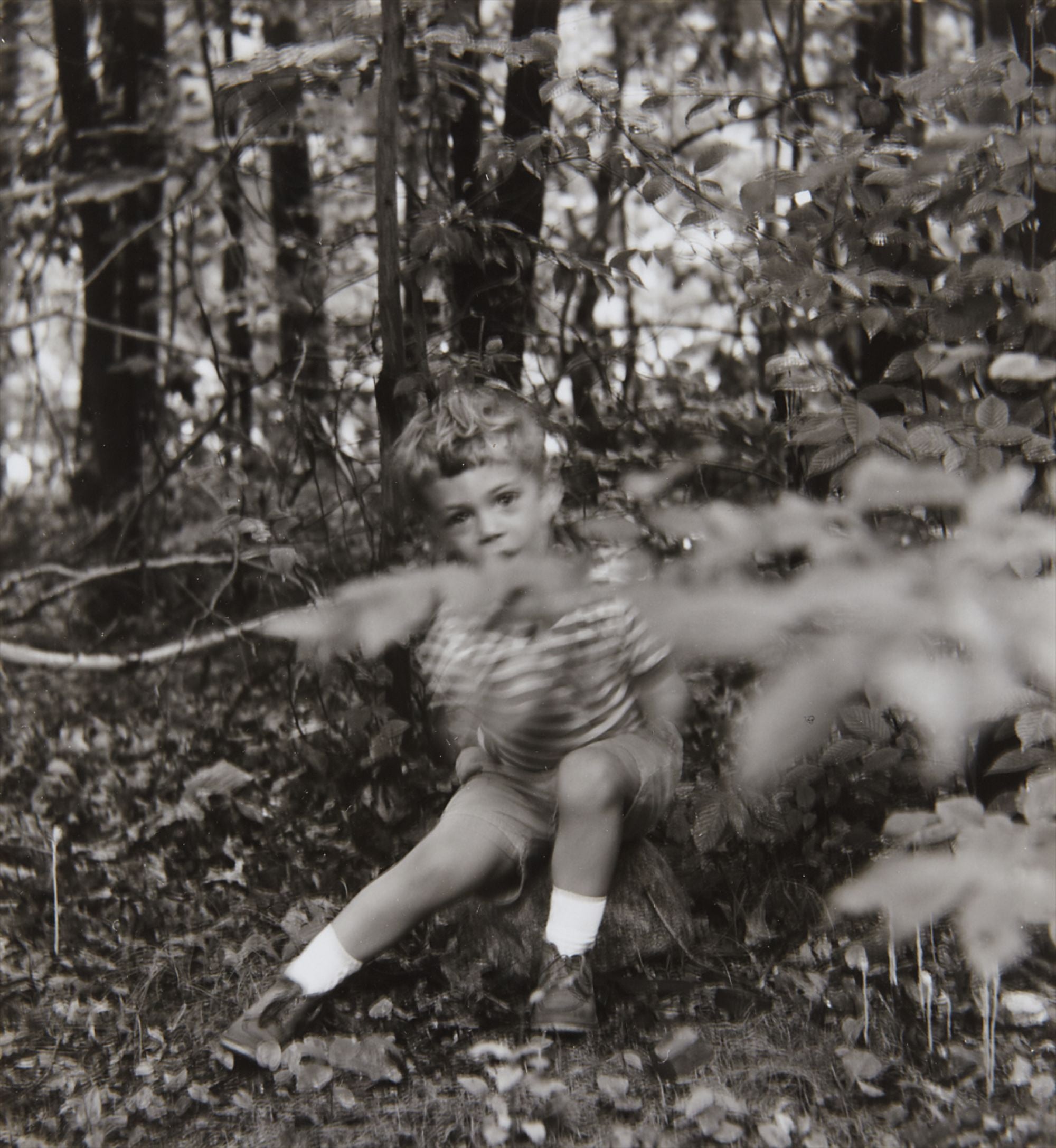 Ralph Eugene Meatyard Photographs from the Collection of the Art
