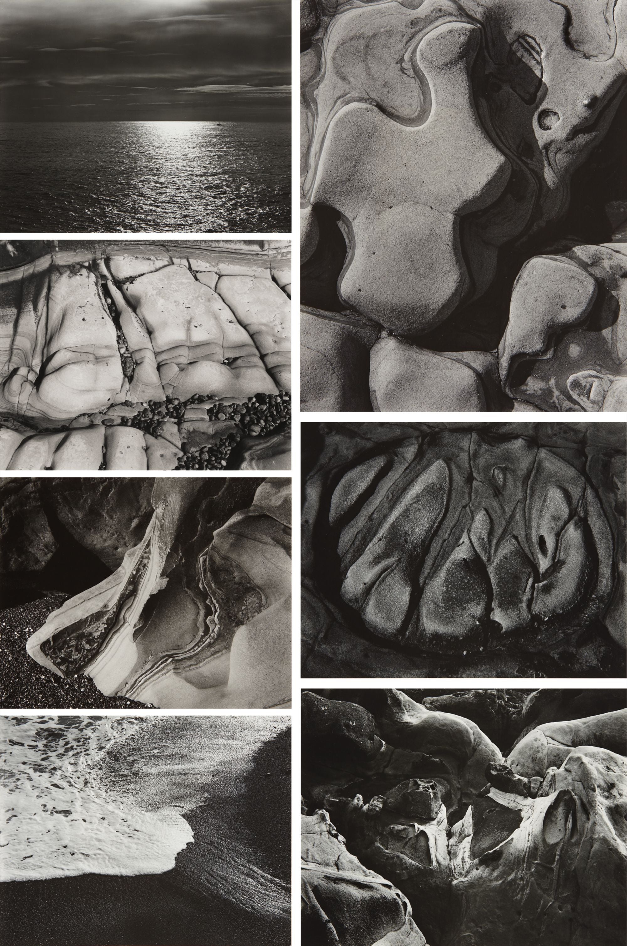 Edward Weston Photographs from the Collection of the Art Institute