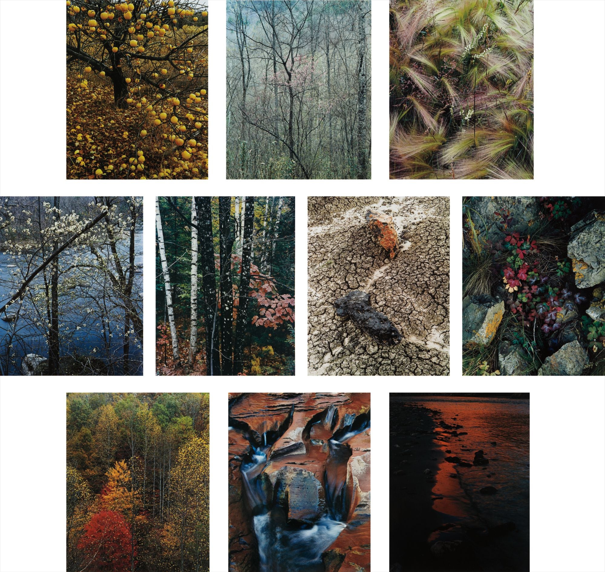 Eliot Porter: Works for Sale, Upcoming Auctions & Past Results