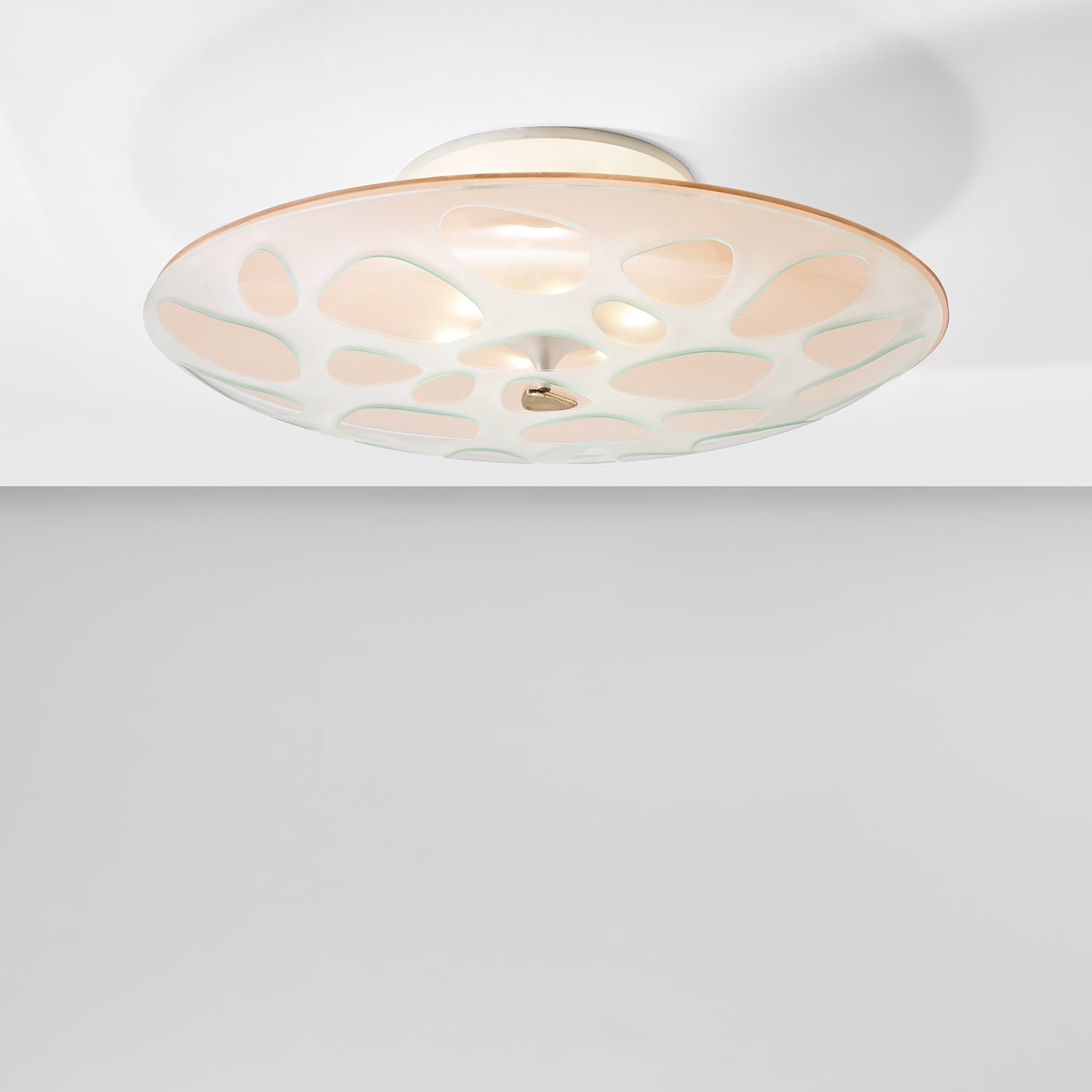 Large Ceiling Light