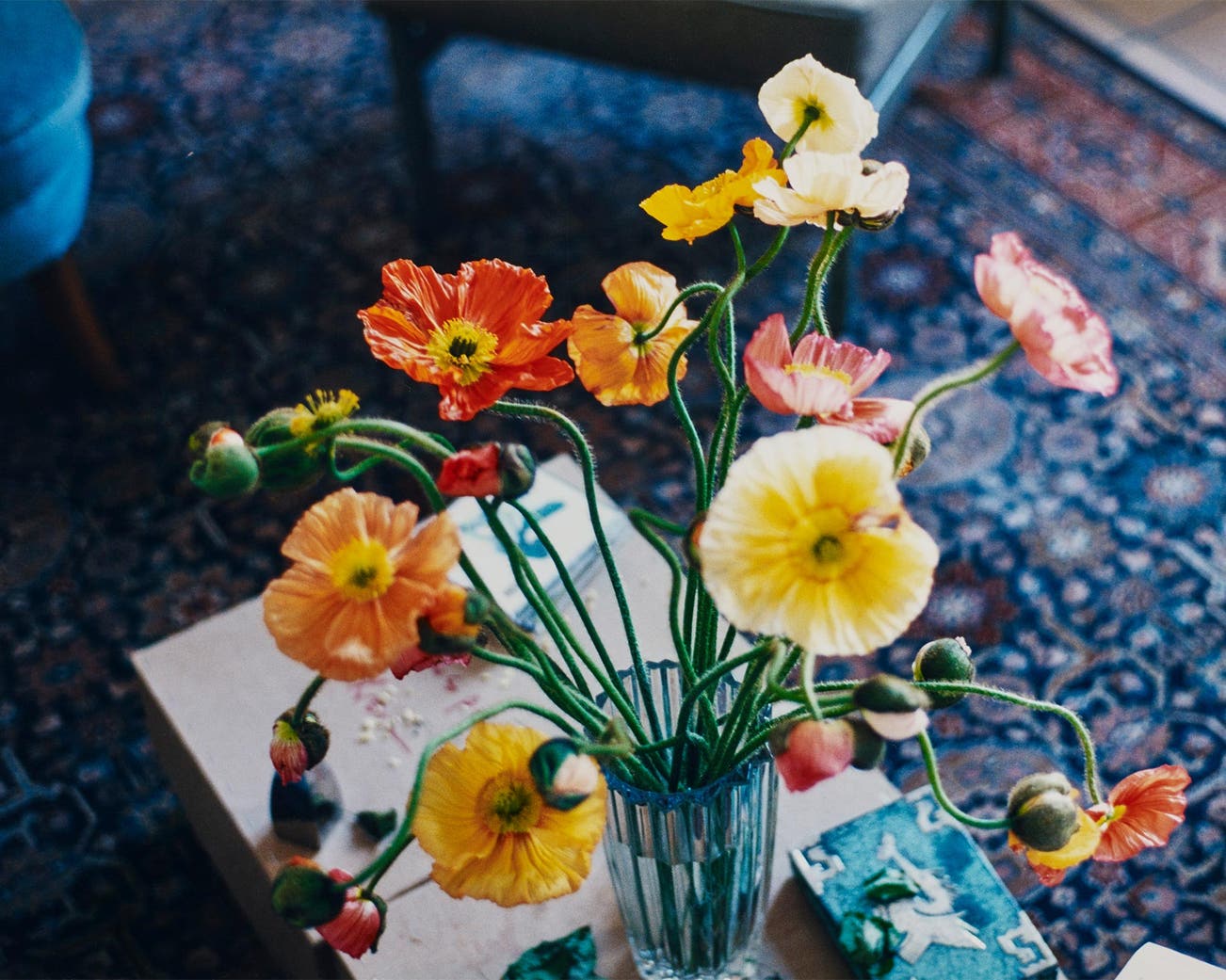 HEATWAVE: Online Auction