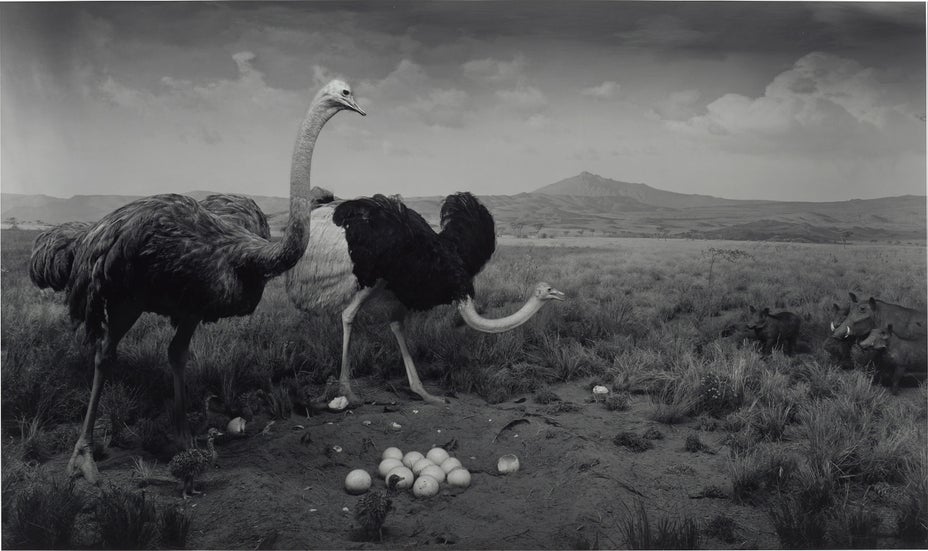 Brought to you by Phillips