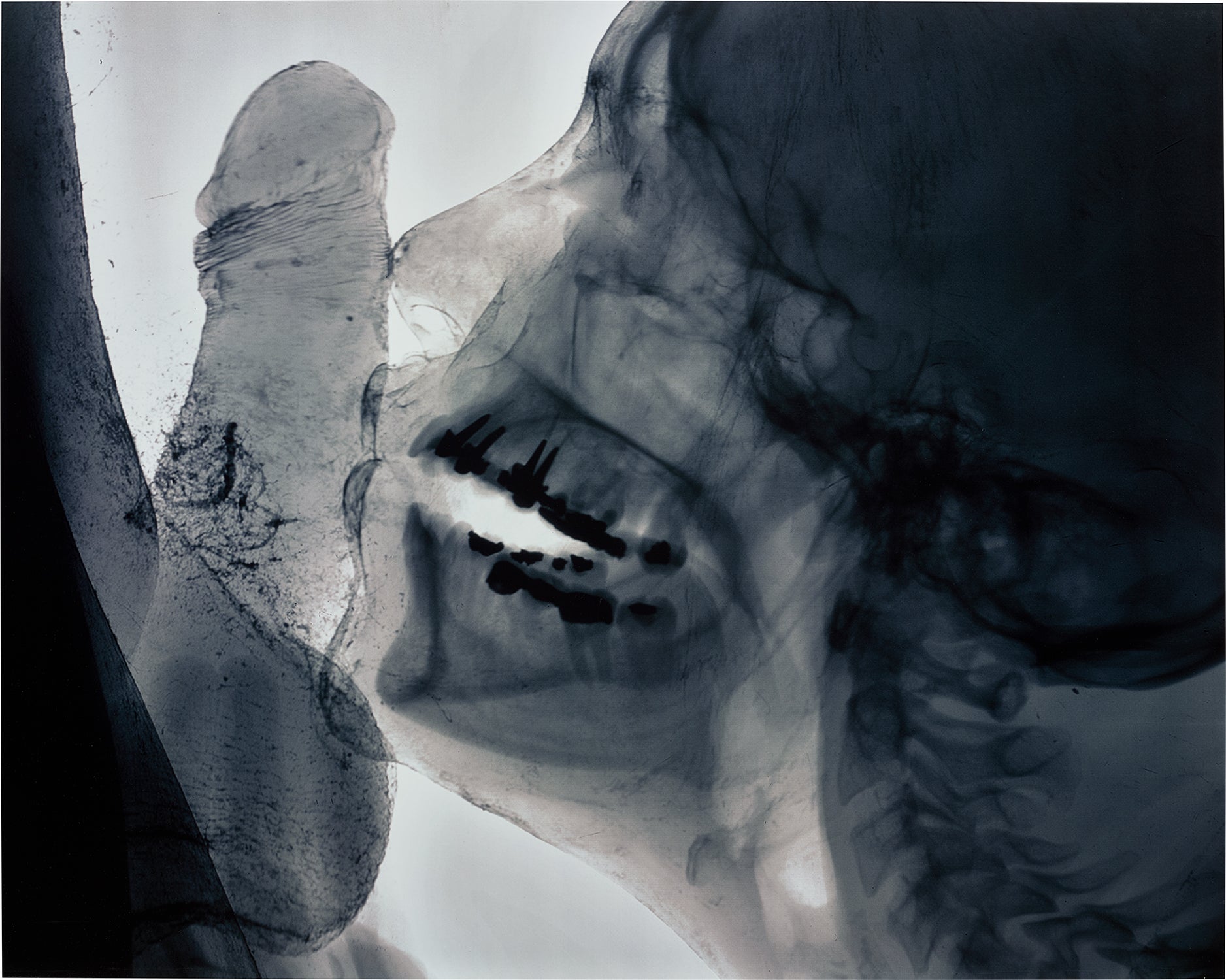 Wim Delvoye: Works for Sale, Upcoming Auctions & Past Results