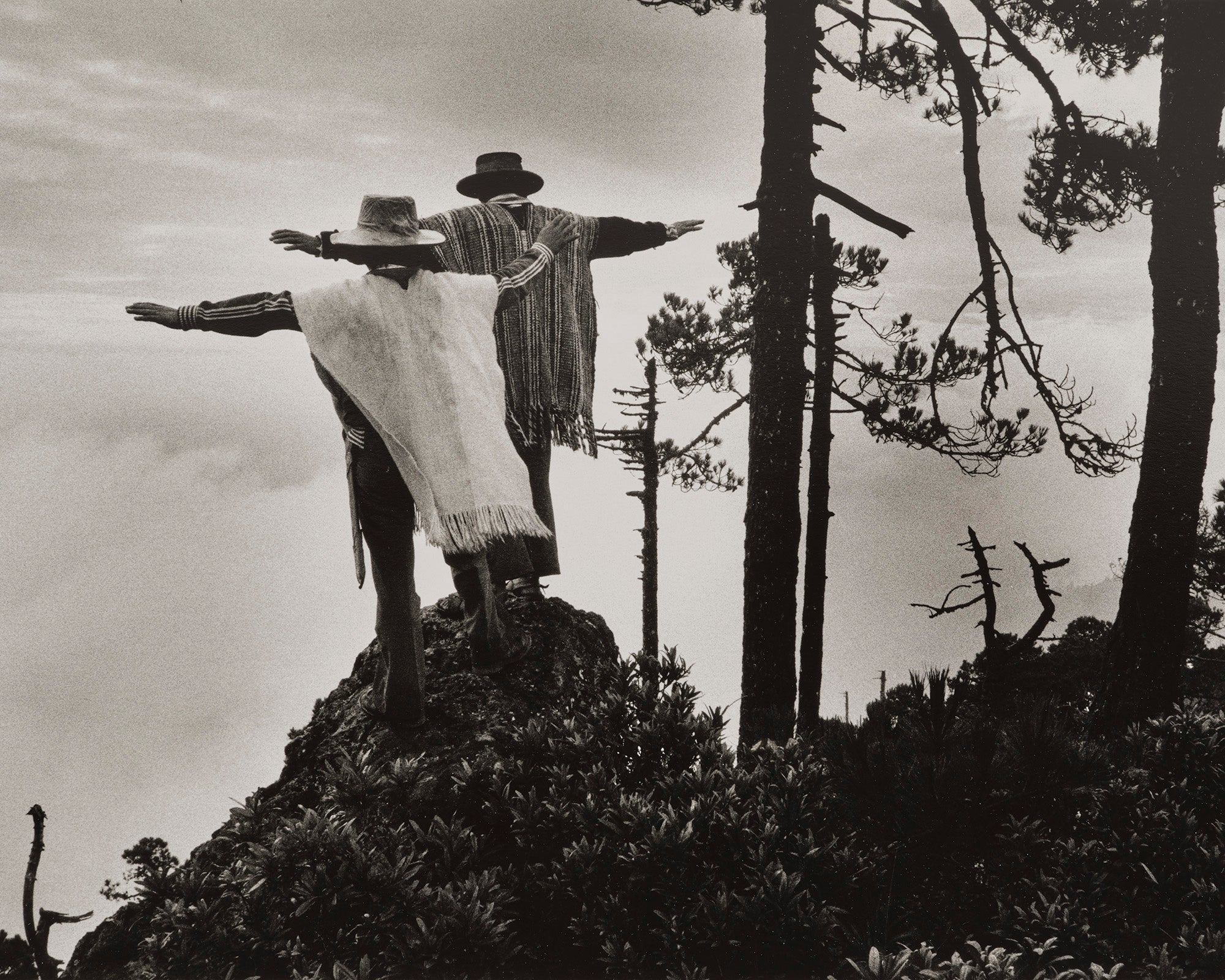 /zh/auction/NY040226