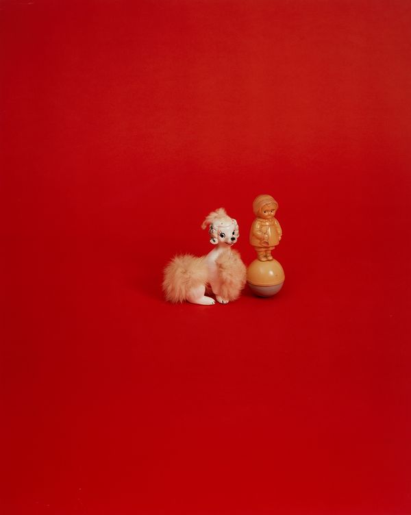 A Dynamic Partnership Spotlights Contemporary Latin American Artists