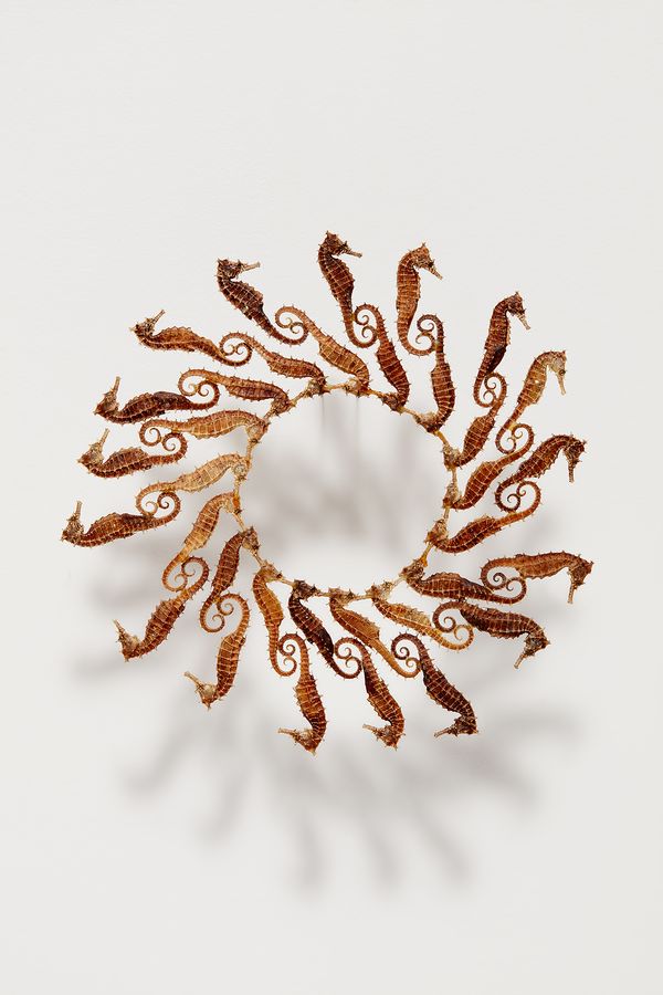 A Dynamic Partnership Spotlights Contemporary Latin American Artists