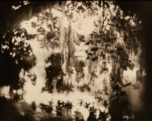 Spotlight on Sally Mann: 'Immediate Family' and 'Deep South' Series