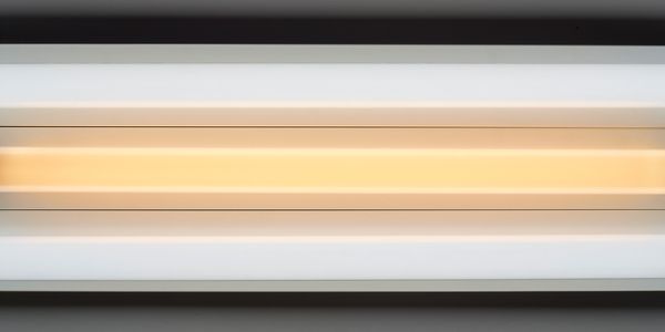 Dan Flavin: Warm Light and Daylight