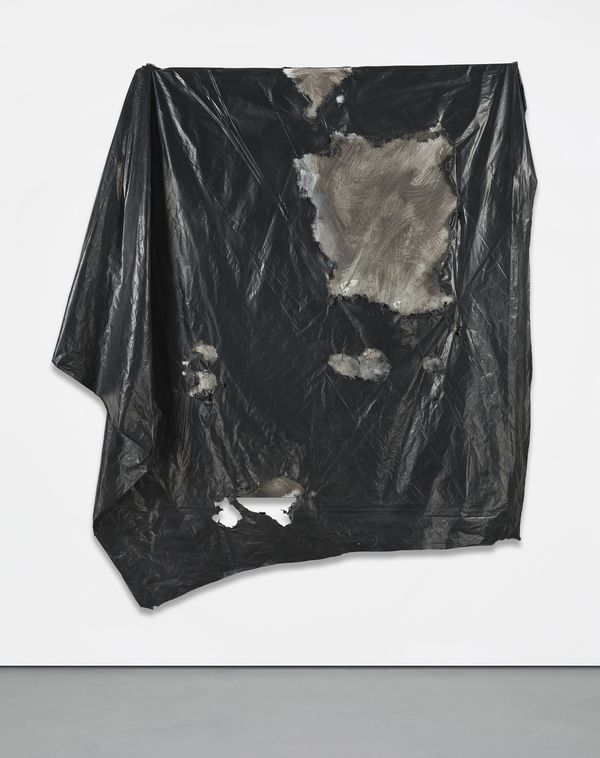 First Reveal: David Hammons on View at the Box