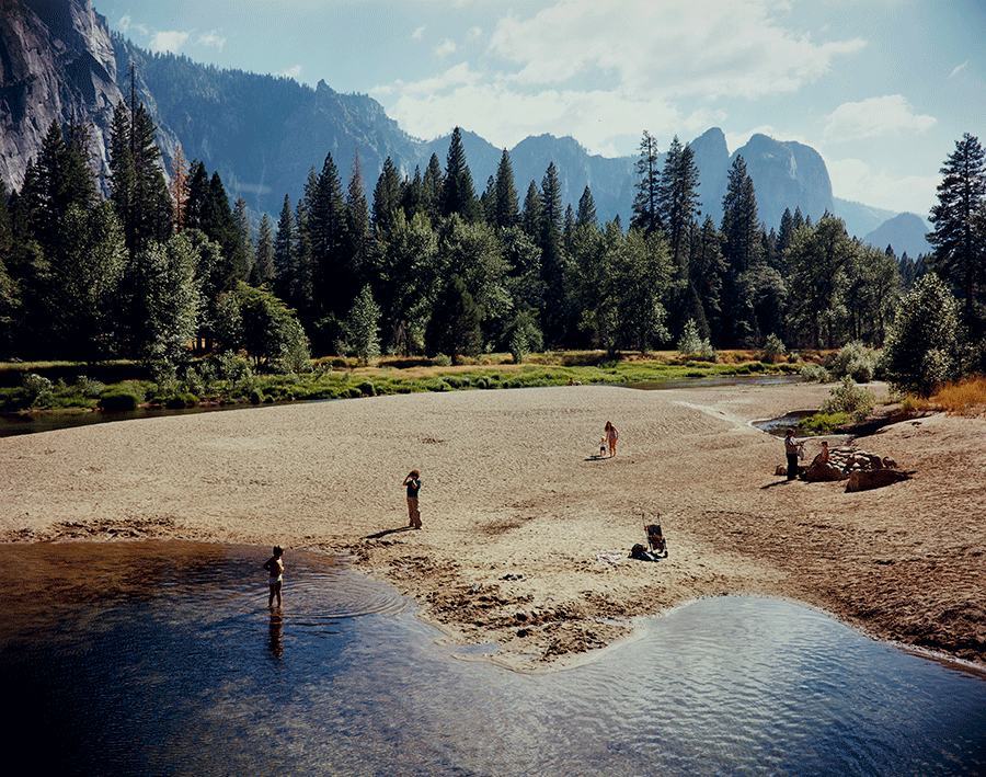 Reframing Beauty: A Private Seattle Collection