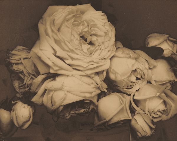 Susie Tompkins Buell: A Collector's Story