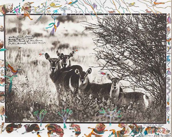 IN FOCUS: Peter Beard