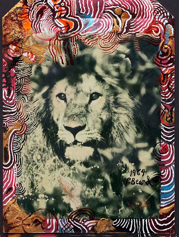 IN FOCUS: Peter Beard