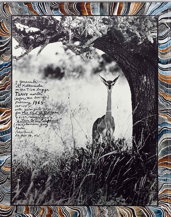 IN FOCUS: Peter Beard