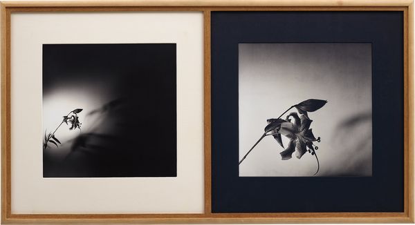 ULTIMATE: A Closer Look at Four Frames That Stand Still