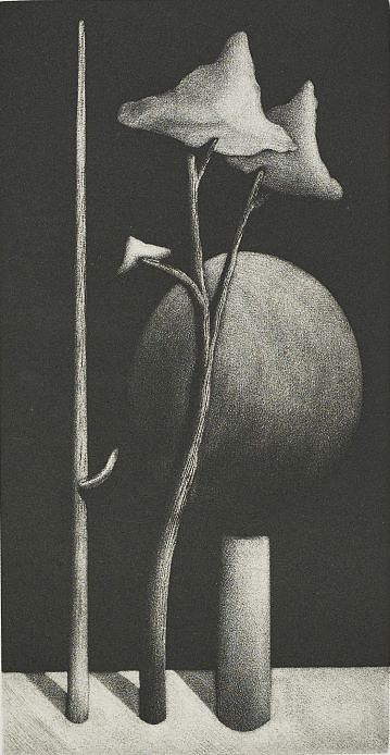 M.C. Escher and the Mezzotint