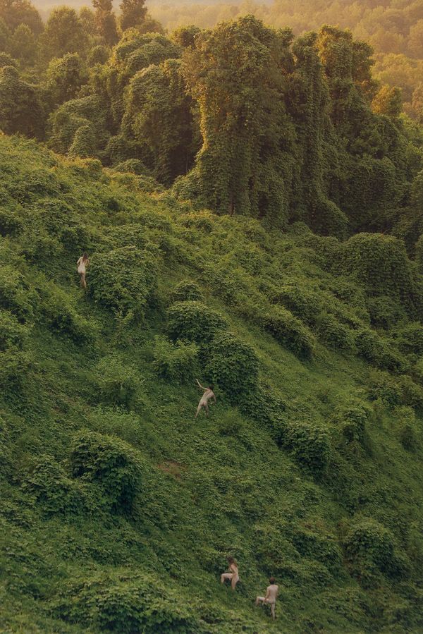 Curated by Lily Kwong