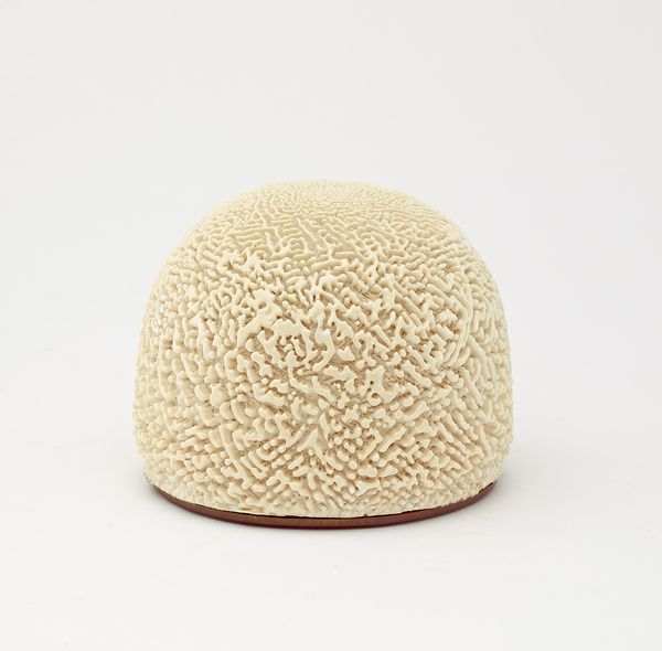 Phillips x Design Trust Charity Auction