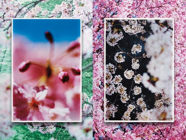 Mika Ninagawa: In Conversation