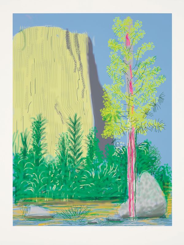 David Hockney: Experimentation and Evolution