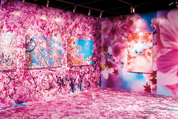 Mika Ninagawa: In Conversation