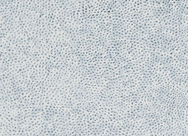 Freedom in Confinement: Yayoi Kusama's Infinity Net Series
