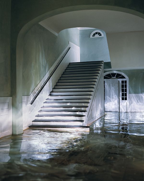 Michel and Sally Strauss Contemporary Photography Collection