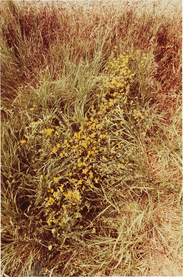 Kaeli Deane's Six Picks from 20th Century & Contemporary Art