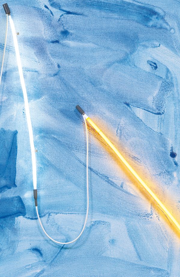 Illuminated Dichotomies: Artist Mary Weatherford Paints with Neon