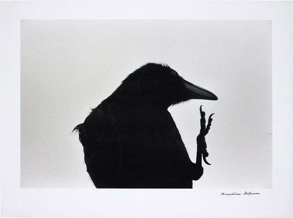 Masahisa Fukase: Becoming a Raven