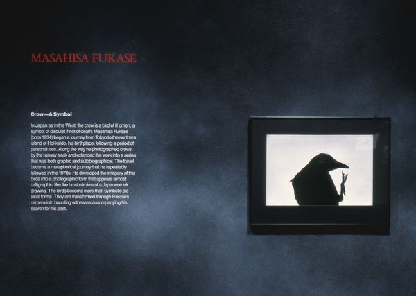 Masahisa Fukase: Becoming a Raven
